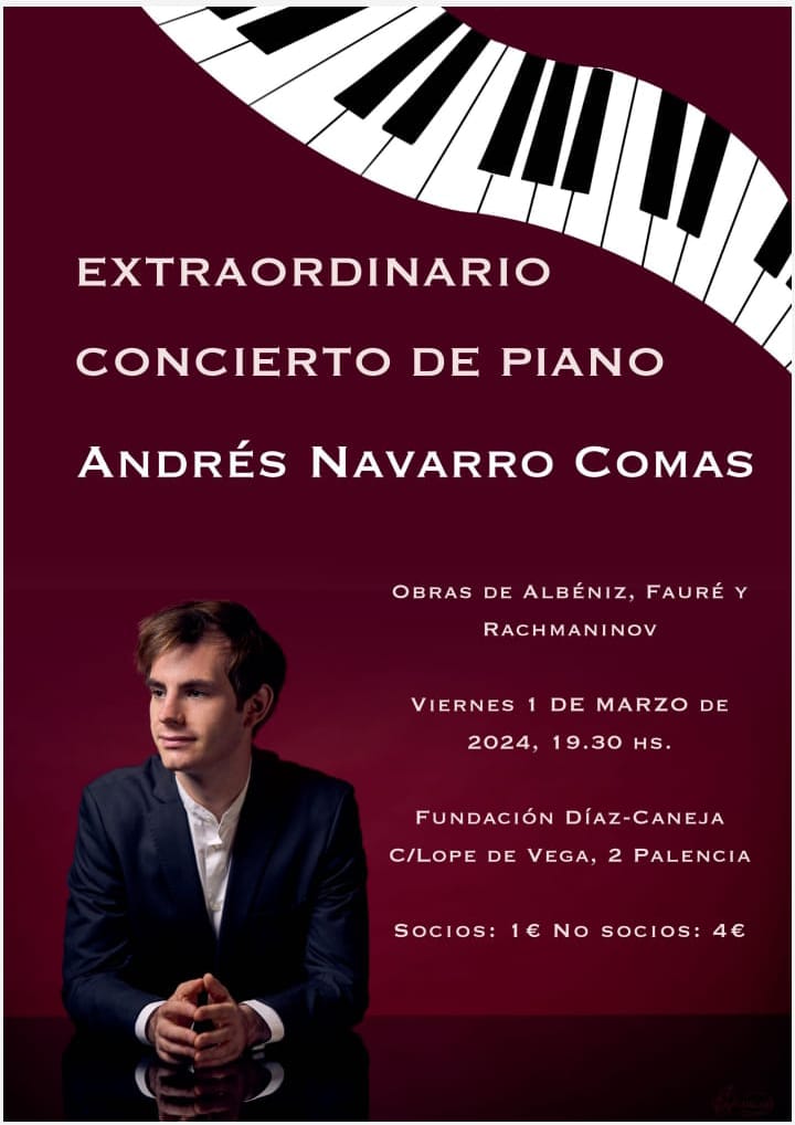 Concierto Andrés Navarro